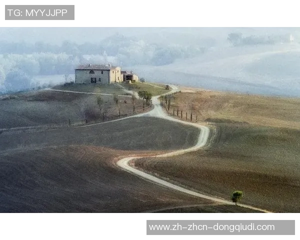 大脚与丹的较量谁能笑到最后揭开他们的传奇故事与人生抉择